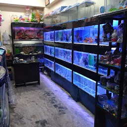 Aqua QUEEN FISH Aquarium Shop