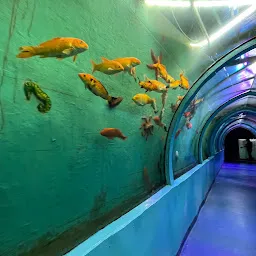 Aqua Zone