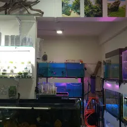 Aqualife Aquarium