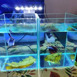Aquarium accesories