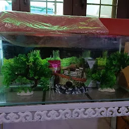 Aquarium and Pet shop