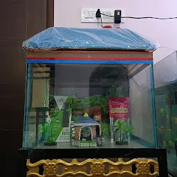 Aquarium and Pet shop