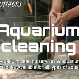 Aquarium cleaning