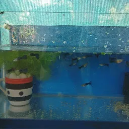Aquarium fish world and pets store