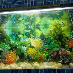 Aquarium gallery