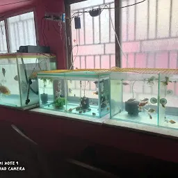 Aquarium Hub