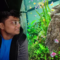 Aquarium maritime museum