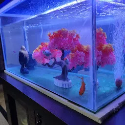 Aquarium Point.