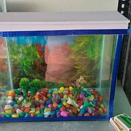 Aquarium Shop