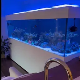 Aquarium Shop