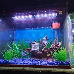 Aquarium shop