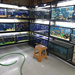 Aquarium shop