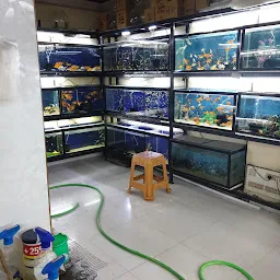 Aquarium shop