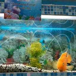 Aquarium ticket counter