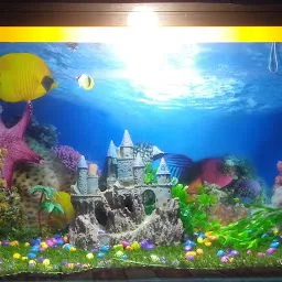 Aquarium world