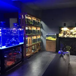 Aquariums India