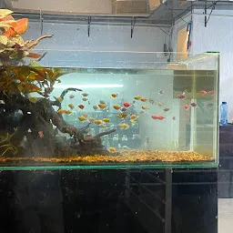 AquaSolution - The Aquarium & Terrarium Store