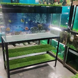 Aquastic Aquarium