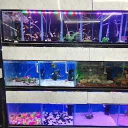 Aquatic Fish World