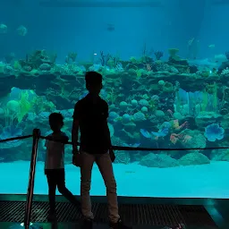 Aquatic Gallery - Science City