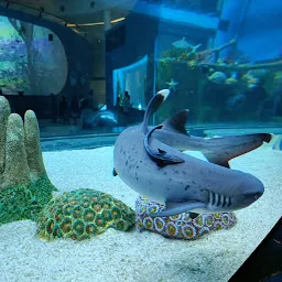 Aquatic Gallery - Science City