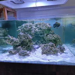Aquaverse Aquarium Shops