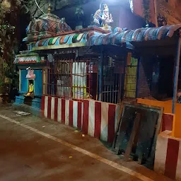 Arasu Vembu Karpaga Vinayagar Temple