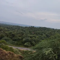 Aravalli hills, sakatpur gurugram