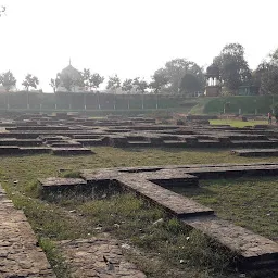 Archaeological Survey of India - Excavated Remains
