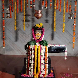 Art of Living Temple of Knowledge - Kashi Vishwanath Devasthanam