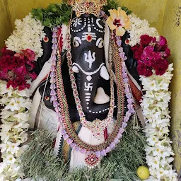 அருள்மிகு ஶ்ரீ அங்காள பரமேஸ்வரி திருக்கோவில், தவளக்குப்பம்