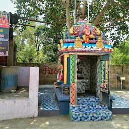Arulmigu Kasi Vishvanatheeswarar Thirukovil