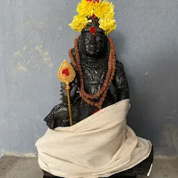 Arulmigu Kolavizhi Bhadrakali Amman Temple and Trust