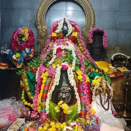 Arulmigu Sri Kadumbadi Chinnamman Temple Cit Nagar Nandanam Chennai