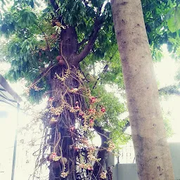 Arulmigu Sri Rama Anjaneyar Temple