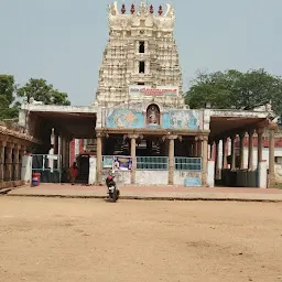 Arulmigu Sri Venkatachalapathi Temple Krishnapuram