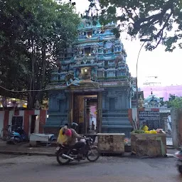 Arulmigu Srinivasa Perumal Temple