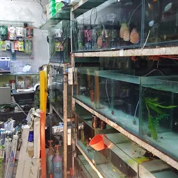 Arya Fish Aquarium & Pet Shop