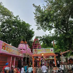 Maa Asha Devi Flower Decoration