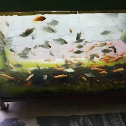 Ashiyana aquarium