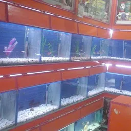 Ashok Aquarium Fish House