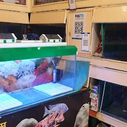 Ashok Aquarium Fish House