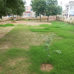 Ashok Vatika(Ashok garden)