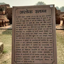 Ashoka Pillar