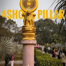 Ashokan Pillar Replica