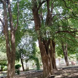 Ashutosh bhai park