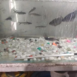 Asian Fish Aquarium