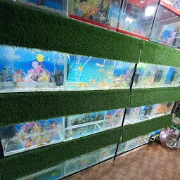 Asian Fish Aquarium & Pet House