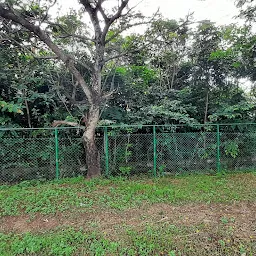 Asramam Miyawaki Forest