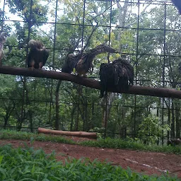Assam State Zoo cum Botanical Garden